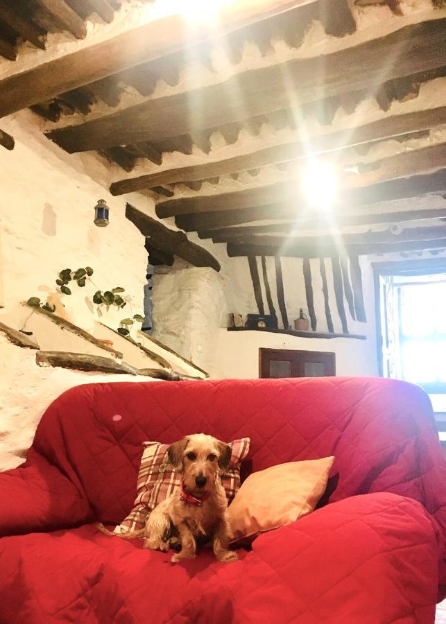 Apartamento El Refugio De Mecina Mecina Fondales Luaran gambar