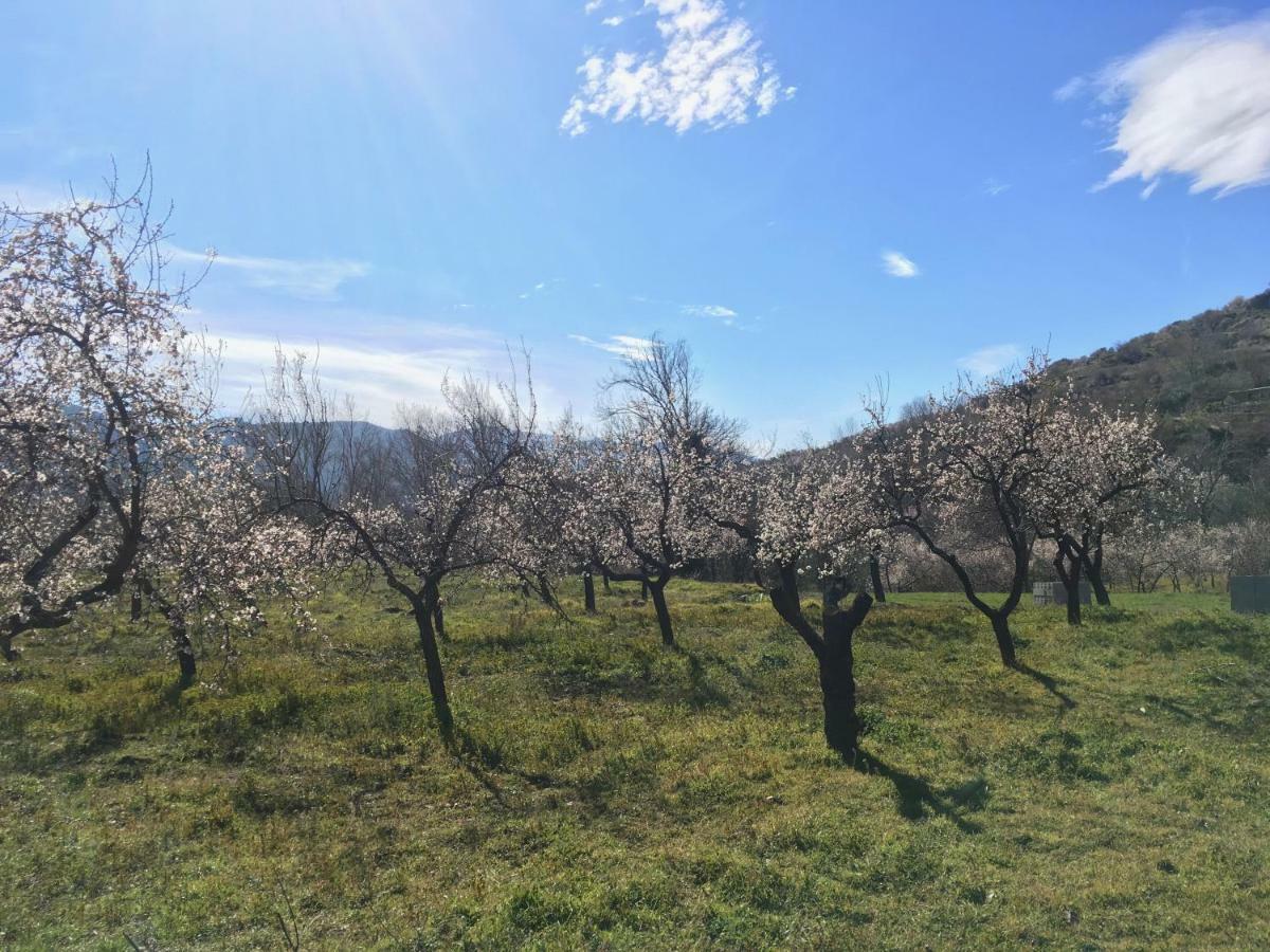 Apartamento El Refugio De Mecina Mecina Fondales Luaran gambar