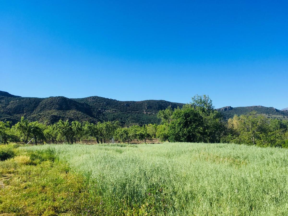 Apartamento El Refugio De Mecina Mecina Fondales Luaran gambar